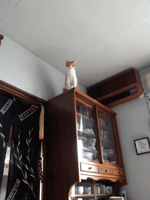 topic090509.gif