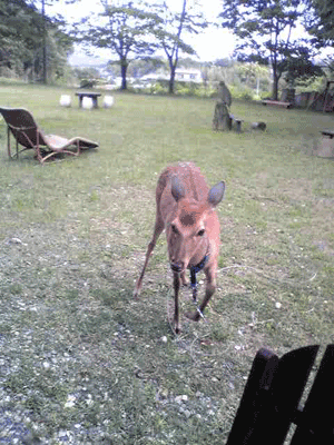 topic090519_3.gif