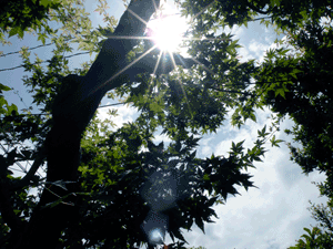 topic090522.gif
